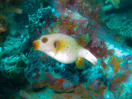 J1224550 - Richelieu Rock