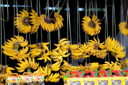 K0102574 - Phota Hin Banana Mar