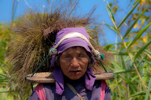 K0206184 - Doi Hua Mae Kham