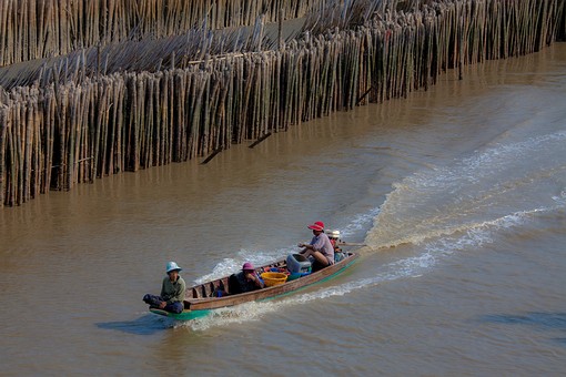 K0220108 - Ao Maha Chai Mangrov