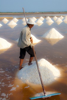 K0220228 - Salt Fields