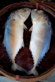 K0522158 - Talat Maha Chai