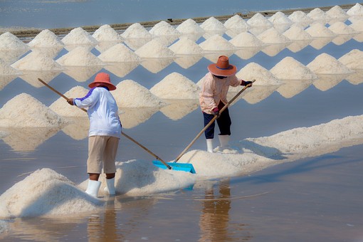L0220418 - Salt Farms
