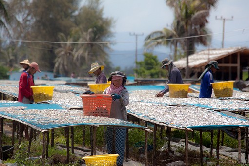 L0720224 - Fishing Activity