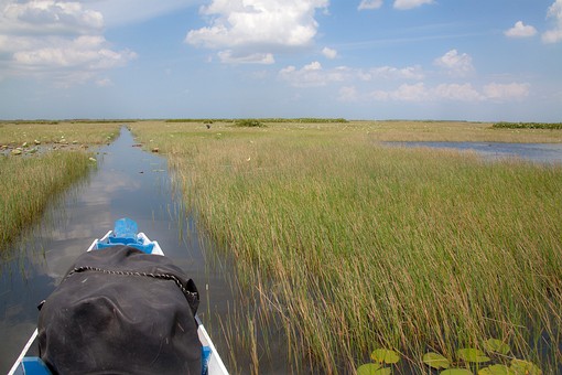 M0730351 - Thale Noi