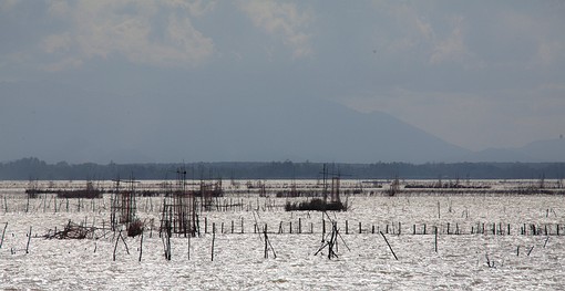 M0801254 - Pak Phayun