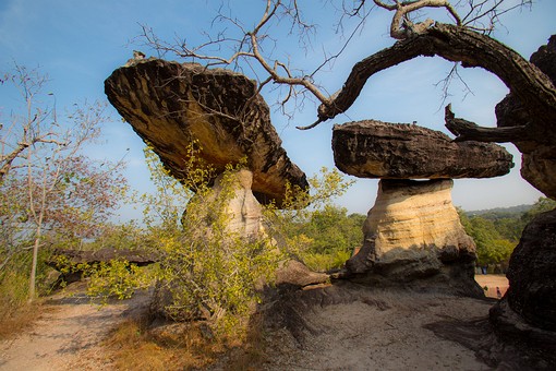 N1227084 - Sao Chaliang