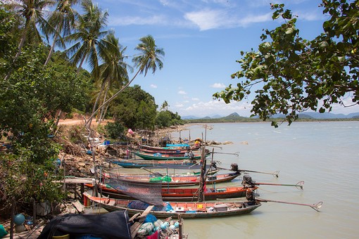 P0819249 - Ao Thong Nian