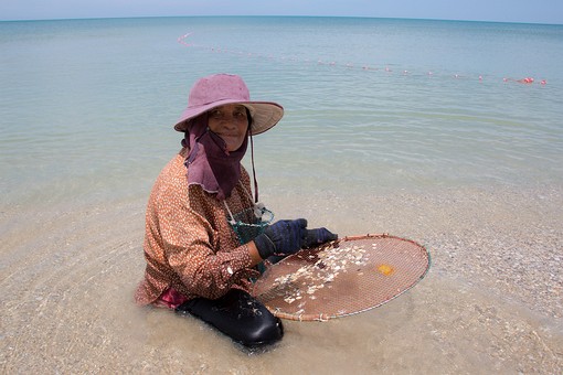 P0819286 - Laem Nai Phlao