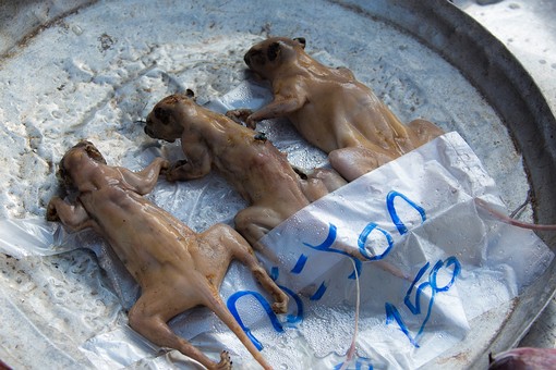 P1026055 - Surat Fresh Market