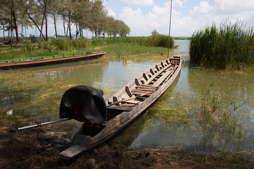 Q0109104 - Hat Thong