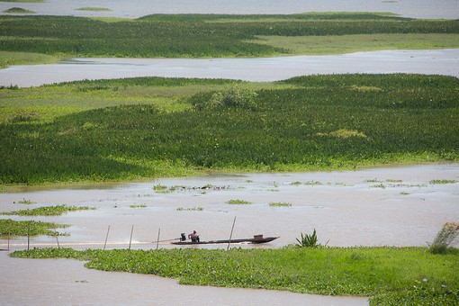 Q0124354 - Thale Noi