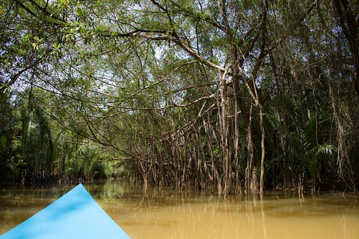 Q0721145 - Takua Pa River