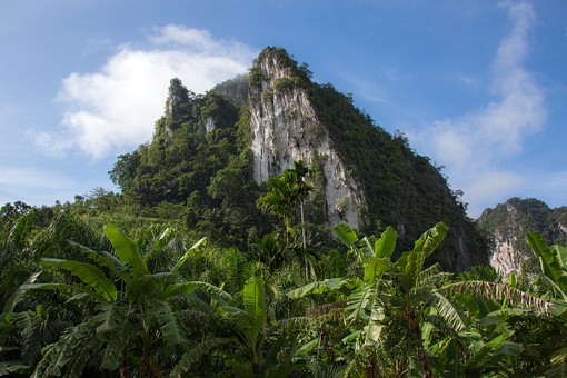 Q0722012 - Khlong Phanom Np