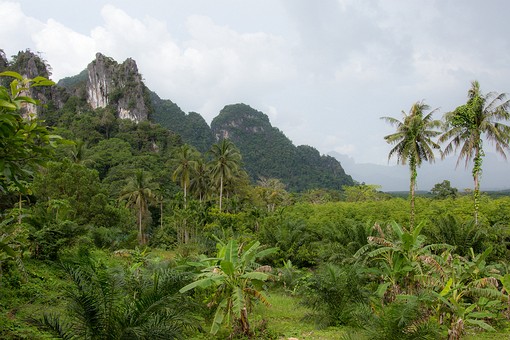 Q0722537 - Nationa Park Scenary