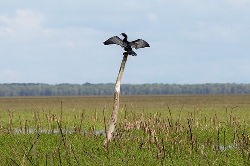 R0205146 - Thale Noi