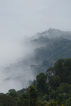 R0528362 - Khao Phab Pha