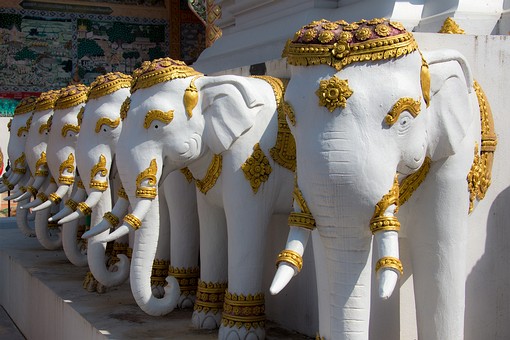 R1219142 - Wat Si Dok