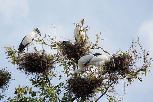 S0128154 - Thale Noi