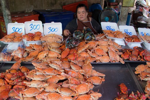 T0127162 - Don Hoi Lot